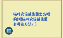 猫咪安倍益生菌怎么喂的(喂猫咪安倍益生菌有哪些方法？)