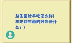益生菌给羊吃怎么样(羊吃益生菌的好处是什么？)