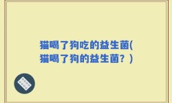 猫喝了狗吃的益生菌(猫喝了狗的益生菌？)