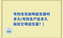母狗生完能喝益生菌吗多久(母狗生产后多久能给它喂益生菌？)