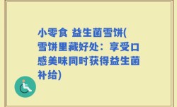 小零食 益生菌雪饼(雪饼里藏好处：享受口感美味同时获得益生菌补给)