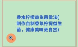 香水柠檬益生菌做法(制作自制香氛柠檬益生菌，健康美味更自然)