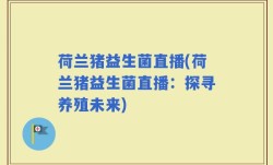 荷兰猪益生菌直播(荷兰猪益生菌直播：探寻养殖未来)