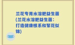 兰花专用水溶肥益生菌(兰花水溶肥益生菌：打造健康根系和繁花似锦)