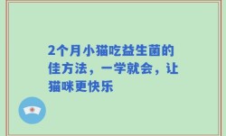 2个月小猫吃益生菌的佳方法，一学就会，让猫咪更快乐