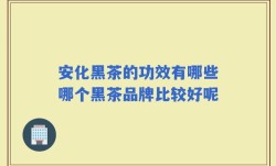 安化黑茶的功效有哪些哪个黑茶品牌比较好呢
