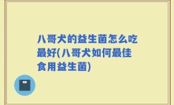 八哥犬的益生菌怎么吃最好(八哥犬如何最佳食用益生菌)