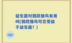 益生菌对鹦鹉雏鸟有用吗(鹦鹉雏鸟可否受益于益生菌？)