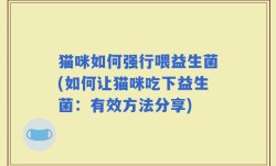 猫咪如何强行喂益生菌(如何让猫咪吃下益生菌：有效方法分享)