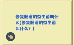 修复肠道的益生菌叫什么(修复肠道的益生菌叫什么？)