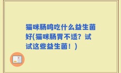 猫咪肠鸣吃什么益生菌好(猫咪肠胃不适？试试这些益生菌！)