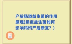 产后肠道益生菌的作用原理(肠道益生菌如何影响妈妈产后康复？)