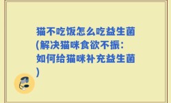 猫不吃饭怎么吃益生菌(解决猫咪食欲不振：如何给猫咪补充益生菌)