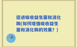 促进吸收益生菌和消化酶(如何增强吸收益生菌和消化酶的效果？)