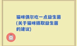 猫咪偶尔吃一点益生菌(关于猫咪摄取益生菌的建议)