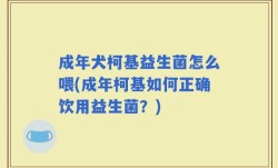 成年犬柯基益生菌怎么喂(成年柯基如何正确饮用益生菌？)