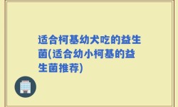 适合柯基幼犬吃的益生菌(适合幼小柯基的益生菌推荐)