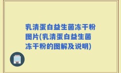 乳清蛋白益生菌冻干粉图片(乳清蛋白益生菌冻干粉的图解及说明)