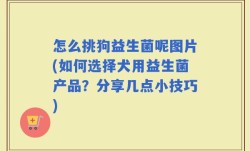 怎么挑狗益生菌呢图片(如何选择犬用益生菌产品？分享几点小技巧)