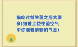 猫吃过益生菌之后大便多(猫爱上益生菌空气中弥漫着清新的气息)