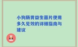 小狗肠胃益生菌片使用多久见效的详细指南与建议