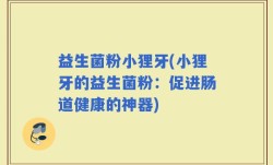 益生菌粉小狸牙(小狸牙的益生菌粉：促进肠道健康的神器)