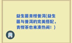 益生菌青柑普洱(益生菌与普洱的完美搭配，青柑茶也来凑热闹！)