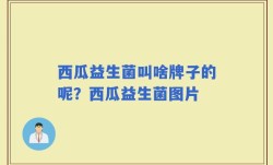 西瓜益生菌叫啥牌子的呢？西瓜益生菌图片