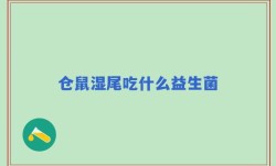 仓鼠湿尾吃什么益生菌
