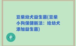 豆柴幼犬益生菌(豆柴小狗保健新法：给幼犬添加益生菌)