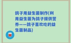 鸽子用益生菌制作(利用益生菌为鸽子提供营养——鸽子喜欢吃的益生菌制品)
