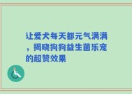 让爱犬每天都元气满满，揭晓狗狗益生菌乐宠的超赞效果