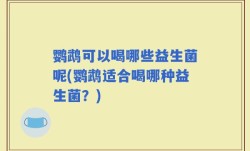 鹦鹉可以喝哪些益生菌呢(鹦鹉适合喝哪种益生菌？)
