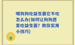 喂狗狗吃益生菌它不吃怎么办(如何让狗狗愿意吃益生菌？教你实用小技巧)