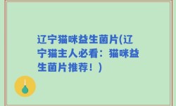 辽宁猫咪益生菌片(辽宁猫主人必看：猫咪益生菌片推荐！)