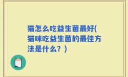 猫怎么吃益生菌最好(猫咪吃益生菌的最佳方法是什么？)