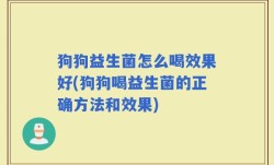 狗狗益生菌怎么喝效果好(狗狗喝益生菌的正确方法和效果)