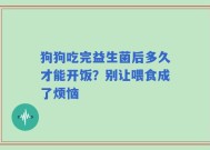 狗狗吃完益生菌后多久才能开饭？别让喂食成了烦恼