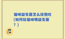猫咪益生菌怎么给他吃(如何给猫咪喂益生菌？)