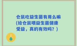 仓鼠吃益生菌有用么嘛(给仓鼠喂益生菌健康受益，真的有效吗？)