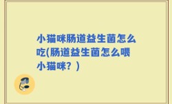 小猫咪肠道益生菌怎么吃(肠道益生菌怎么喂小猫咪？)