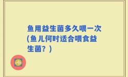 鱼用益生菌多久喂一次(鱼儿何时适合喂食益生菌？)