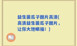 益生菌瓜子图片高清(高清益生菌瓜子图片，让你大饱眼福！)