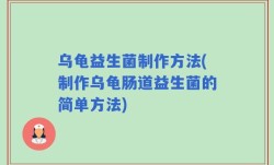 乌龟益生菌制作方法(制作乌龟肠道益生菌的简单方法)