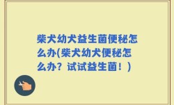 柴犬幼犬益生菌便秘怎么办(柴犬幼犬便秘怎么办？试试益生菌！)