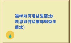 猫咪如何灌益生菌水(教您如何给猫咪喝益生菌水)