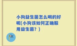 小狗益生菌怎么喝的好呢(小狗该如何正确服用益生菌？)