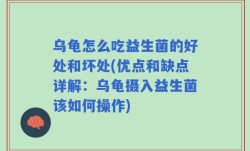 乌龟怎么吃益生菌的好处和坏处(优点和缺点详解：乌龟摄入益生菌该如何操作)