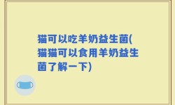 猫可以吃羊奶益生菌(猫猫可以食用羊奶益生菌了解一下)