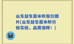 山东益生菌米粉报价图片(山东益生菌米粉价格实拍，品质保障！)
